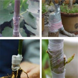 Nursery,Grafting,Stretchable,Garden,Seedling,2cm6cm80m