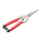 Garden,Pruning,Scissors,Plant,Cutter,Flower,Fruit,Grape,Scissors