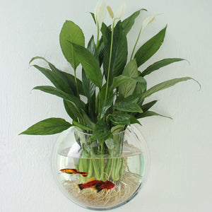 Acrylic,Aquarium,Mounted,Hanging,Plant,Decor