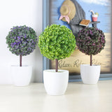 Office,Decorative,Trees,Potted,Plant,Potted,Decorative,Decoration