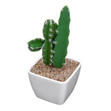 Simulating,Cactus,Bonsai,Simulating,Creative,Ornaments,Succulents,Plants