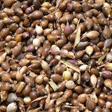 Egrow,Seeds,Chinese,Pearl,Barley,Chinensis,Seeds,Adlay,Coixseed,Job's,Tears