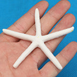 12Pcs,Beautiful,White,Finger,Starfish,Beach,Wedding,Coastal,Decorations