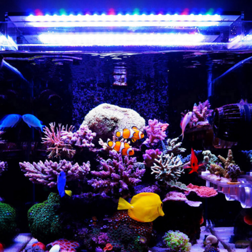 Chihiros,White,Colors,Aquarium,Light