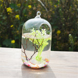 Clear,Glass,Hanging,Aquarium,Office,Desktop,Stand,Decorations