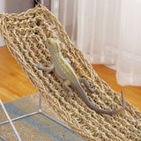 Reptile,Lizard,Hammock,Lizard