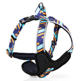 DODOPET,Adjustable,Collar,Comfortable,Breathable,Safety,Strap,Hunting,Supplies