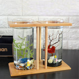 Light,Clear,Glass,Betta,Aquarium,Bamboo,Shelf,Office