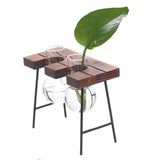 Shape,Glass,Plant,Hydroponic,Container,Flower,Bottle,Table,Decor,Wooden,Shelf,Stand