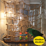 Parrot,Climbing,Swing,Ladder,Macaw,Hanging