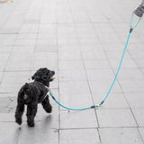 Jordan&Judy,Double,Leash,Pulling,Capacity,Modes,Reflective,Walking,Leash,Collar,Supplies