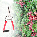 Garden,Pruning,Scissors,Plant,Cutter,Flower,Fruit,Grape,Scissors