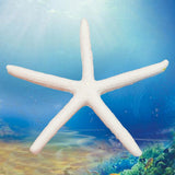 12Pcs,Beautiful,White,Finger,Starfish,Beach,Wedding,Coastal,Decorations