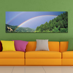 10429,Single,Spray,Paintings,Photography,Rainbow,WallArt,Decoration