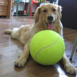 Squishy,Giant,Tennis,Chewing,Sport,Outdoor,Throw,Fetch