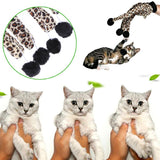 Scratcher,Leopard,Glove,Lovely,Balls,Teaser