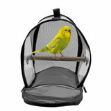 Transparent,Handbag,Travel,Backpack,Carrier,Parrot,Breathable