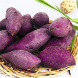 Egrow,Purple,Sweet,Potato,Seeds,Potato,Delicious,Green,Nutrition,Vegetables,Plant,Garden