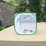 Green,Collapsible,Insect,Habitat,Butterfly,Transparent,Surface,Portable,Zipper,Plant,Breeding,Storage,Basket