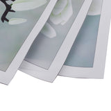 Frameless,Magnolia,Canvas,Pictures,Print,Picture,Printing,Decorations