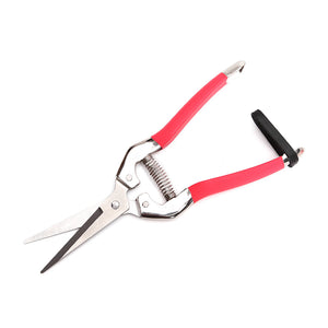 Garden,Pruning,Scissors,Plant,Cutter,Flower,Fruit,Grape,Scissors