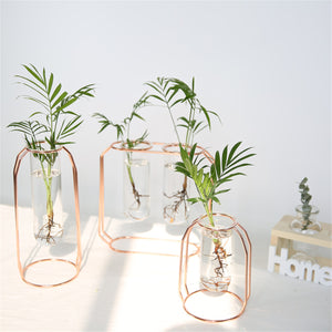 Glass,Flower,Holder,Plant,Container,Metal,Decorations