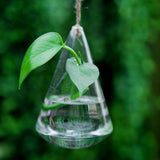 Hanging,Water,Shaped,Glass,Hydroponics,Flower,Garden,Wedding,Party,Decoration