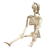 Creepy,Human,Skeleton,Skull,Figurine,Scary,Halloween,Skeleton,Party,Decorations