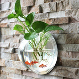 Acrylic,Aquarium,Mounted,Hanging,Plant,Decor