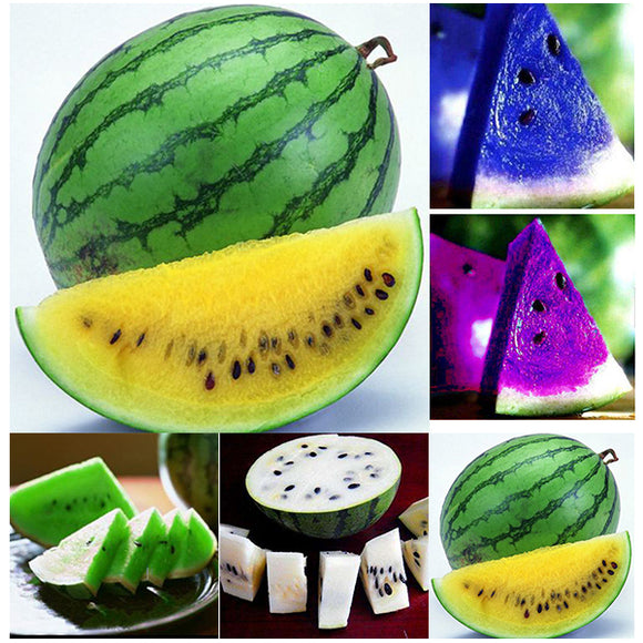 20Pcs,Watermelon,Flesh,Magic,Garden,Seeds,Summer,Fruit,Garden,Landscape