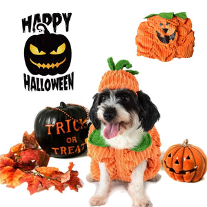 Halloween,Costume,Collar,Pumpkin,Design,Creative,Funny,Clothes,Decorations