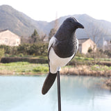 Lifelike,Magpie,Bunting,Hunting,Decoy,Outdoor,Training,Shooting,Target,Animal,Archery,Target