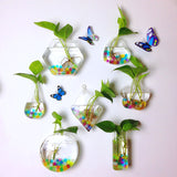 Flower,Plant,Stand,Hanging,Hydroponic,Transparent,Clear,Glass,Round,Terrarium,Container,Wedding,Garden,Decorations