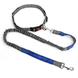 Leash,Traction,Running,Reflective,Elastic,Hands,Solid,Adjust,Collars,Outdoor,Supplies