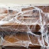 Spider,48Pcs,Small,Spiders,Halloween,Outdoor,Party,Decorations,Props,Supplies