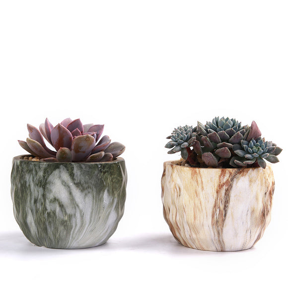 Ceramic,Natural,Stone,Style,Flower,Succulent,Planting,Garden,Decor