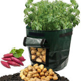 Potato,Planter,Container,Pouch,Planting,Window