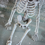 Halloween,Props,Skeleton,Hanging,Haunted,House,Decoration,Haunted