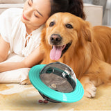 Shape,Interactive,Shaking,Foods,Container,Puppy,Feeding