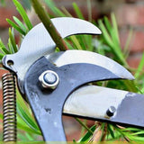 Pruning,Shears,Branches,Trimmer,Cutter,Garden,Pruning,Scissor,Fruit,Pulley,Cutting,Garden,Tools