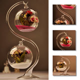 Hanging,Glass,Flower,Micro,Landscape,Terrarium,Support,Stand