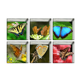 13x13cm,Butterfly,Pattern,Waterproof,Bathtub,Sticker