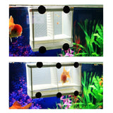 Aquarium,Guppy,Breeding,Breeder,Separation,Hatchery