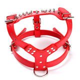 Leather,Harness,Collar,Leash,Spiked,Studded,Staffy,Security