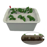 Oxygen,Water,Culture,Seedling,Boxes,Soilless,Cultivation,Planting,Boxes