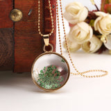 Necklace,Plant,Specimen,Circular,Glass,Picture,Frames,Dried,Flower,Necklace,Decorations