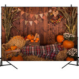 Thanksgiving,Backdrop,Photography,Video,Background,Pumpkins,Studio