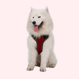 DODOPET,Luminous,Adjustable,Collar,Reflective,Walking,Chest,Strap,Safety,Training,Leash,Traction