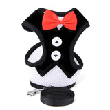 collar,Strap,Small,Teddy,Leads,Evening,Dress,Comfortable,Leash