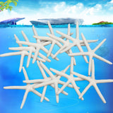 12Pcs,Beautiful,White,Finger,Starfish,Beach,Wedding,Coastal,Decorations